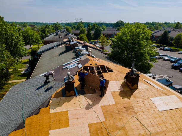 Trusted Roof Replacement service in Harrison, ID - Brentwood Metal Roofing